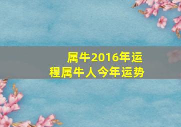 属牛2016年运程,属牛人今年运势