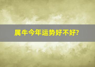 属牛今年运势好不好?