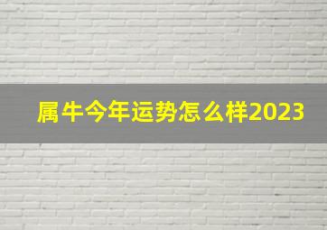 属牛今年运势怎么样2023