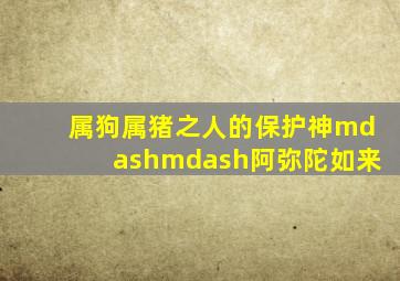 属狗、属猪之人的保护神——阿弥陀如来