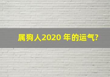 属狗人2020 年的运气?