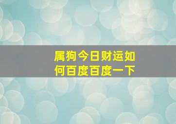 属狗今日财运如何百度百度一下