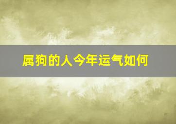 属狗的人今年运气如何