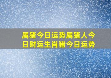 属猪今日运势属猪人今日财运生肖猪今日运势