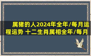 属猪的人2024年全年/每月运程运势 十二生肖(属相)全年/每月运程...