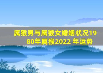 属猴男与属猴女婚姻状况,1980年属猴2022 年运势