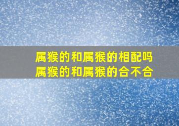 属猴的和属猴的相配吗属猴的和属猴的合不合