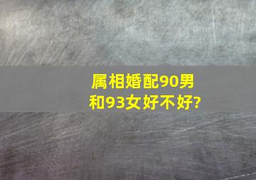 属相婚配90男和93女好不好?