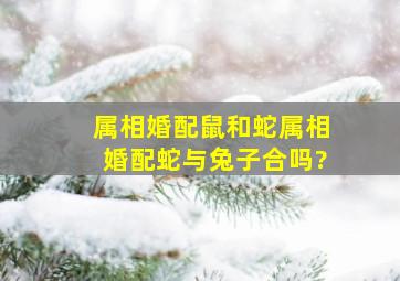 属相婚配鼠和蛇,属相婚配蛇与兔子合吗?