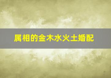 属相的金木水火土婚配