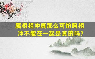 属相相冲真那么可怕吗相冲不能在一起是真的吗?