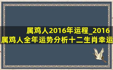 属鸡人2016年运程_2016属鸡人全年运势分析十二生肖幸运吧姓名网(...