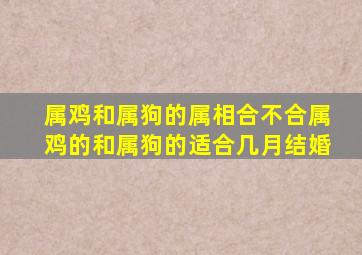 属鸡和属狗的属相合不合,属鸡的和属狗的适合几月结婚