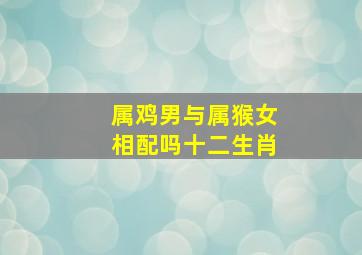 属鸡男与属猴女相配吗十二生肖