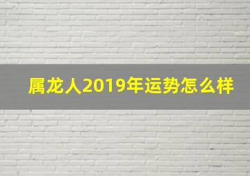 属龙人2019年运势怎么样