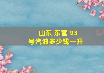 山东 东营 93号汽油多少钱一升