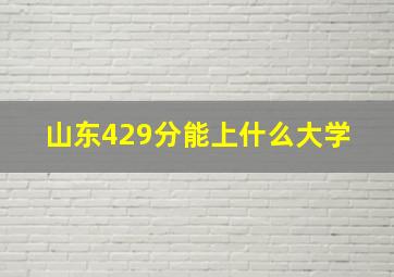 山东429分能上什么大学 