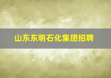 山东东明石化集团招聘