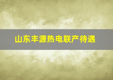 山东丰源热电联产待遇