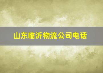 山东临沂物流公司电话