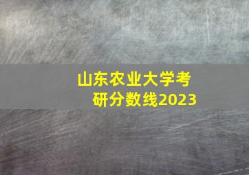 山东农业大学考研分数线2023