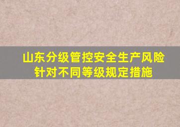 山东分级管控安全生产风险 针对不同等级规定措施 