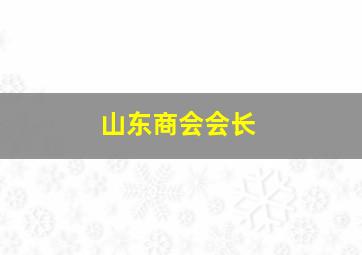 山东商会会长