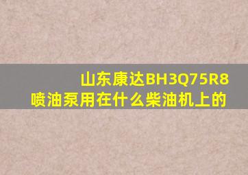 山东康达BH3Q75R8喷油泵用在什么柴油机上的