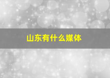 山东有什么媒体