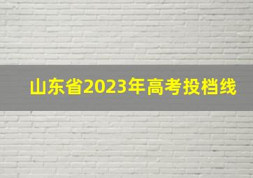 山东省2023年高考投档线