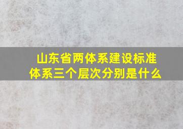 山东省两体系建设标准体系三个层次分别是什么