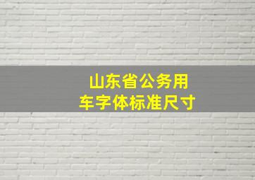 山东省公务用车字体标准尺寸