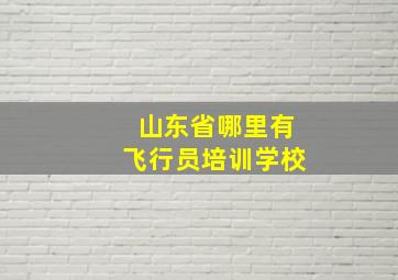 山东省哪里有飞行员培训学校