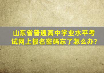 山东省普通高中学业水平考试网上报名密码忘了怎么办?