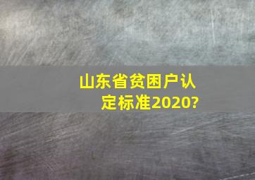 山东省贫困户认定标准2020?