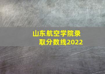 山东航空学院录取分数线2022