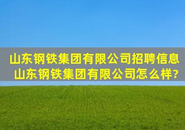 山东钢铁集团有限公司招聘信息,山东钢铁集团有限公司怎么样?