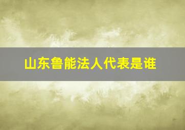 山东鲁能法人代表是谁