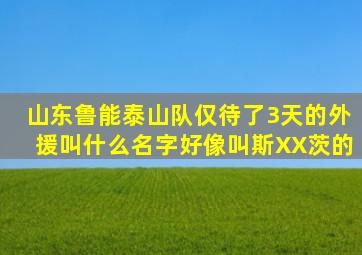 山东鲁能泰山队仅待了3天的外援叫什么名字,好像叫斯XX茨的