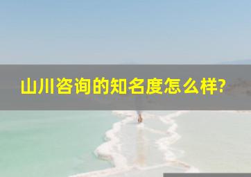 山川咨询的知名度怎么样?