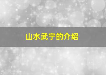 山水武宁的介绍