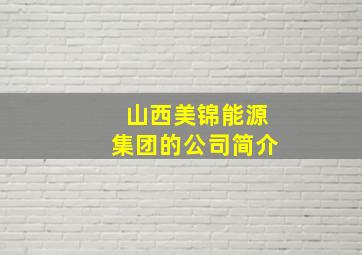 山西美锦能源集团的公司简介