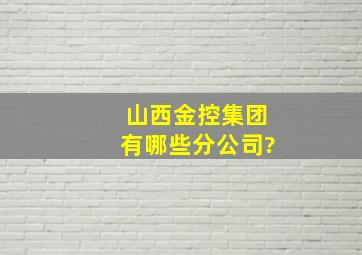 山西金控集团有哪些分公司?