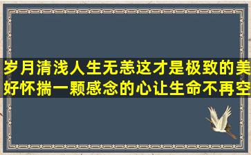 岁月清浅人生无恙这才是极致的美好怀揣一颗感念的心让生命不再空白...