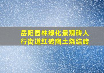 岳阳园林绿化景观砖人行街道红砖陶土烧结砖