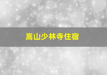 嵩山少林寺住宿