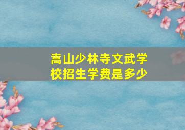 嵩山少林寺文武学校招生学费是多少