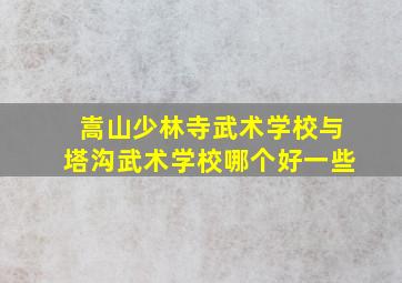 嵩山少林寺武术学校与塔沟武术学校哪个好一些(