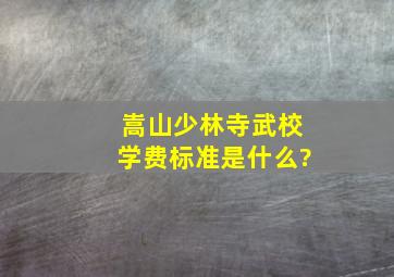 嵩山少林寺武校学费标准是什么?