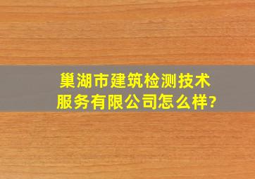 巢湖市建筑检测技术服务有限公司怎么样?